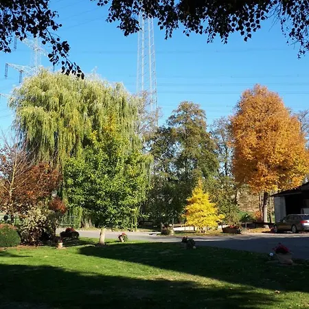 Papiermuehle هوفغايزمار